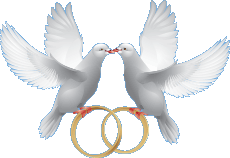 видеомонтаж свадьбы голуби